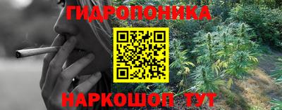 винт Славгород